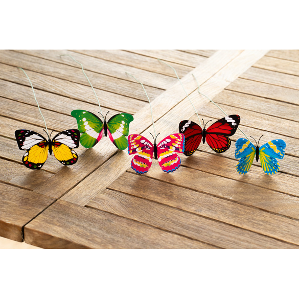 Set de 5 papillons à clipser