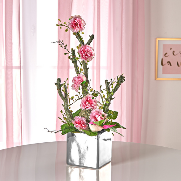 Œillets bonsaï en pot Eldo