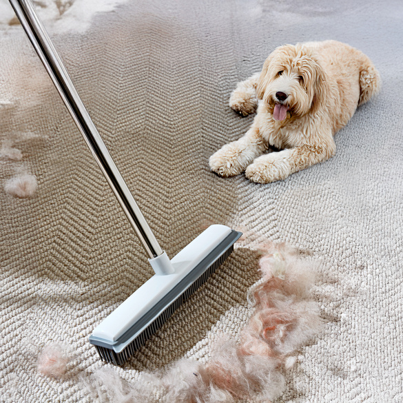 Balai pour poils d'animaux 2 en 1