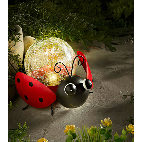 Coccinelle solaire Gainsborough