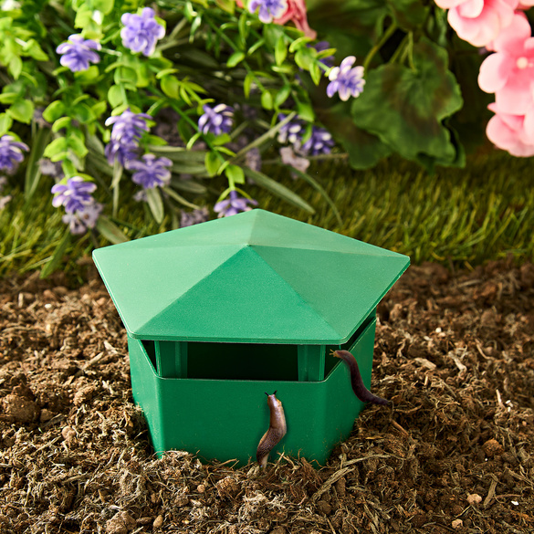 Lot de 4 pièges à escargots