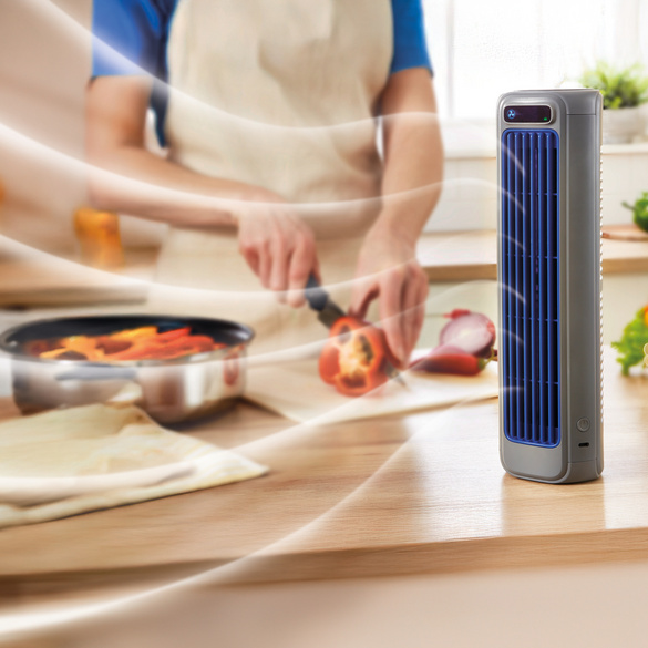 Ventilateur sans fil Bergström
