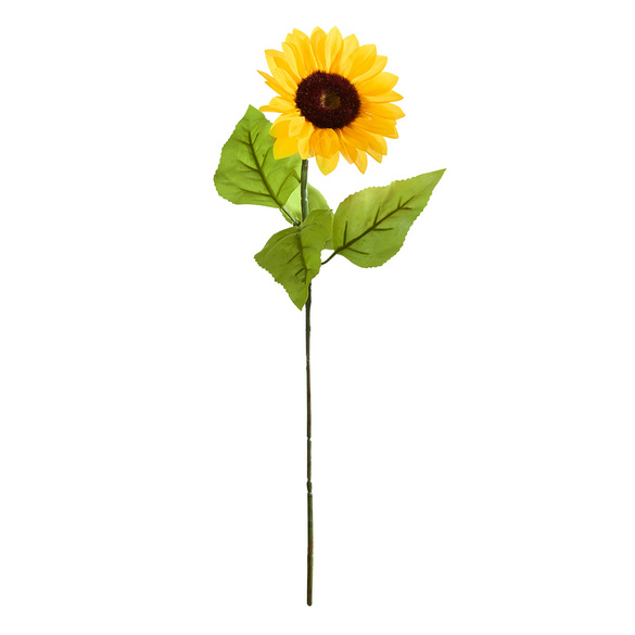 Tournesol décoratif