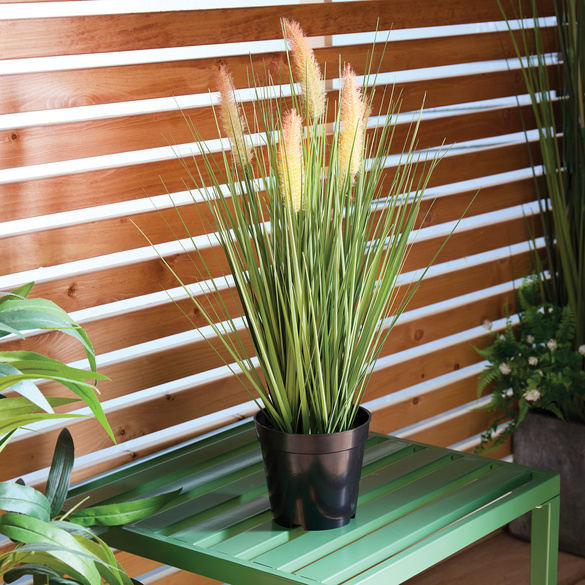 Plante artificielle "Amarante queue-de-renard" en pot, hauteur 56 cm