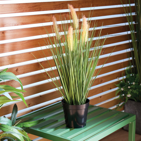 Plante artificielle "Amarante queue-de-renard" en pot, hauteur 56 cm