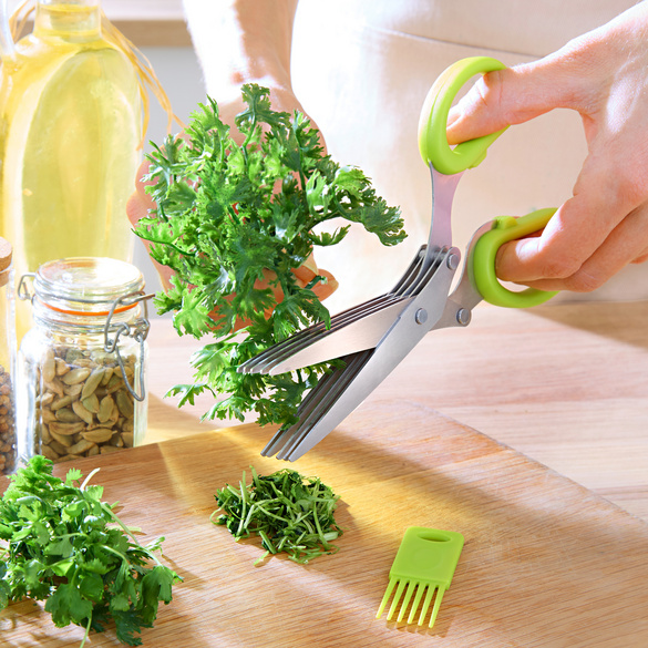 Ciseaux à herbes aromatiques Basilico