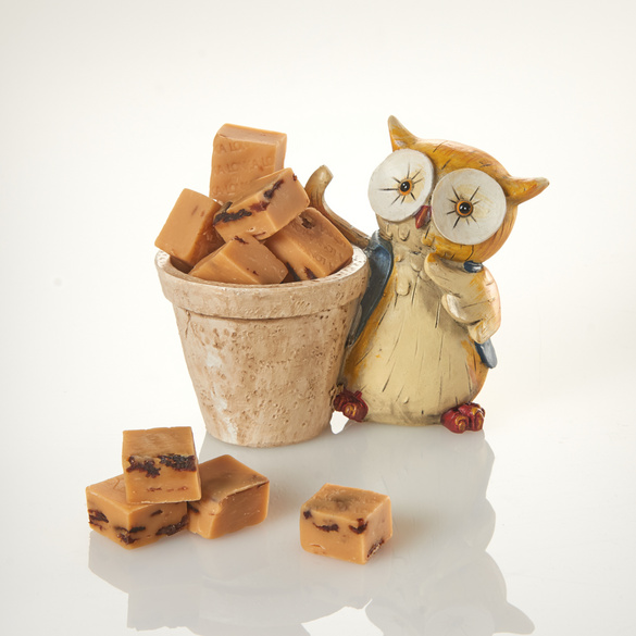 Pot de fleurs Hibou avec fudges vanille Eldo