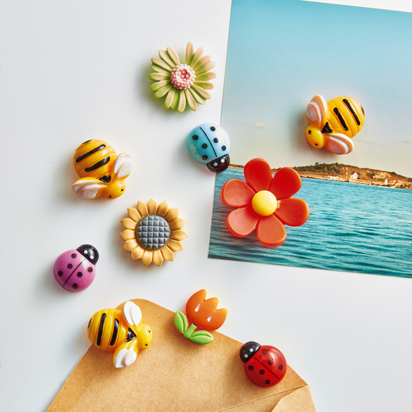 Lot de 10 aimants pour réfrigérateur