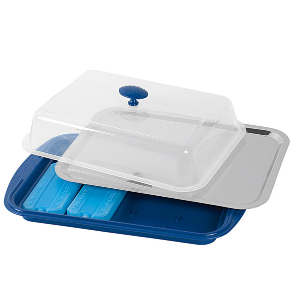 Plaque réfrigérante avec hotte Acier inoxydable/plastique APS