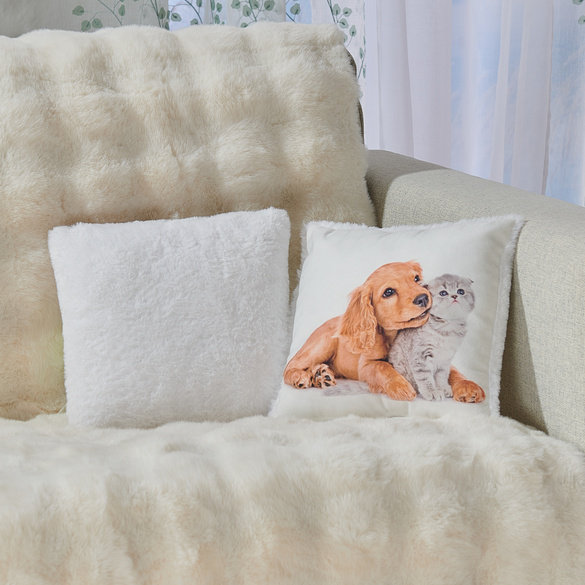 Coussin chien et chat