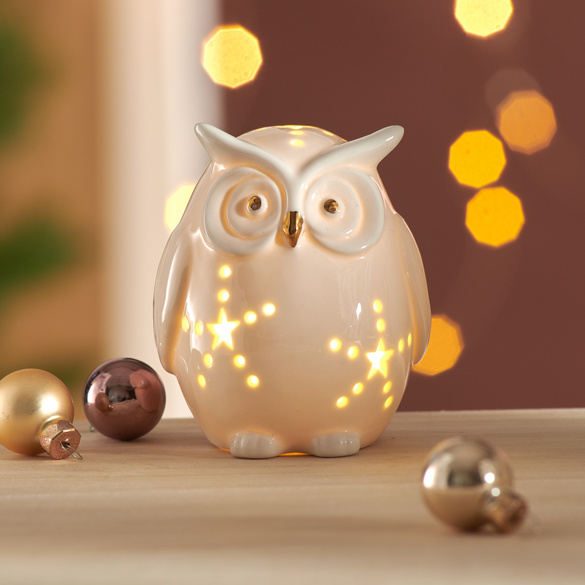 Chouette LED