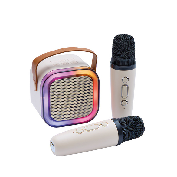 Haut-parleur karaoké avec Bluetooth & 2 microphones Bergström
