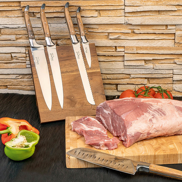 Set de couteaux Laguiole 5 pcs. avec bloc magnétique HAWS