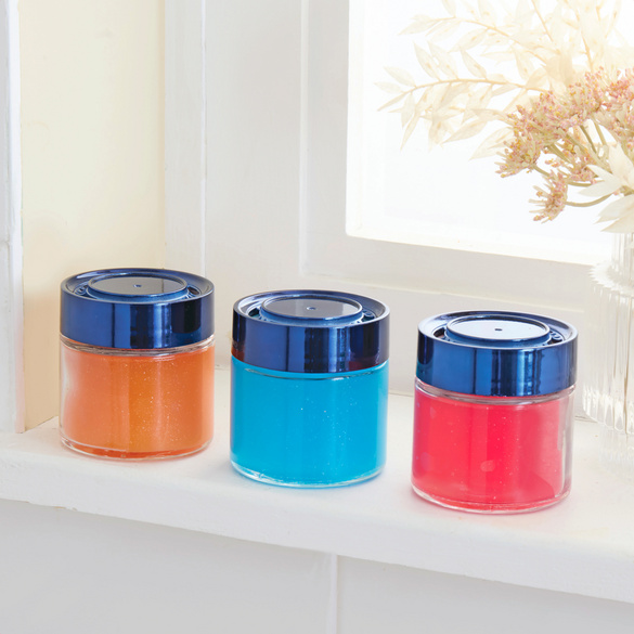 Lot de 3 désodorisants