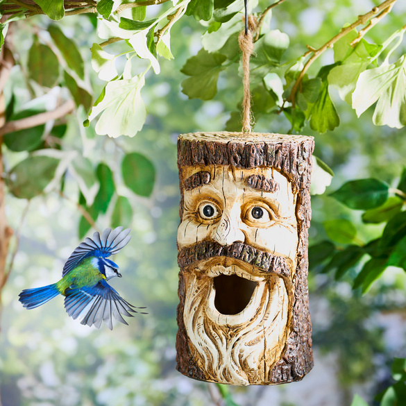 Cabane à oiseaux à tête d'arbre