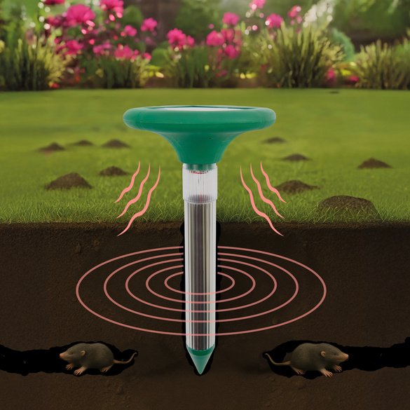 Défense contre les taupes Solaire