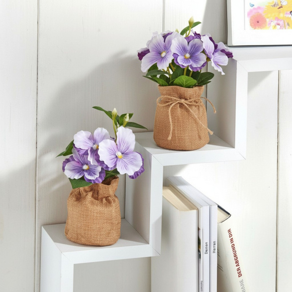 Pensées en pot - violet