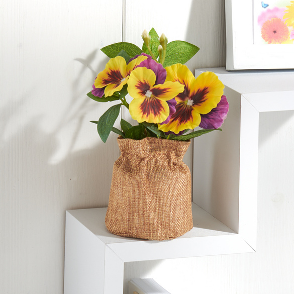 Pensées en pot - jaune