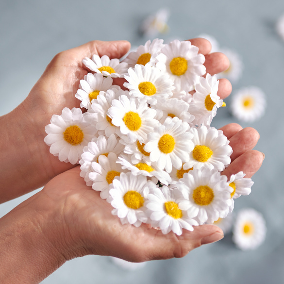 Fleurs à parsemer “Marguerites” – lot de 50