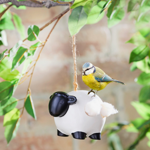 Nid d'oiseau "Mouton"