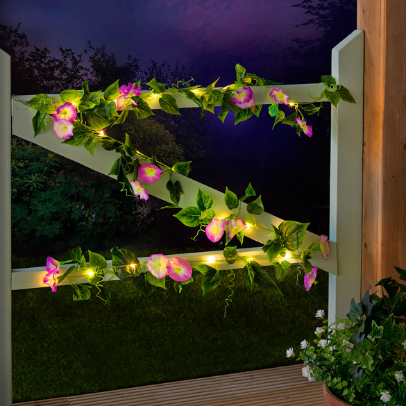 Guirlande solaire pétunia