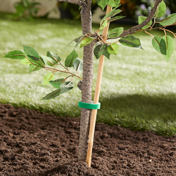 Kit de 3 bandes velcro pour plantes