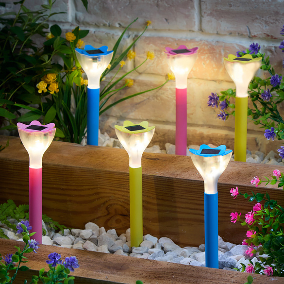 Piquets solaires “Fleurs” – lot de 6