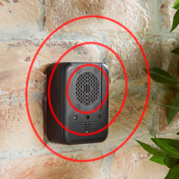 Stop aboiements pour chiens