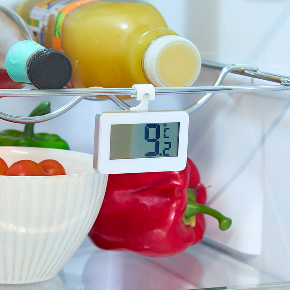 Thermomètre de réfrigérateur, lot de 2