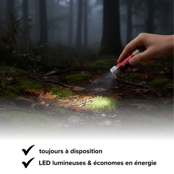 Lot de 4 lampes de poche porte-clés à LED