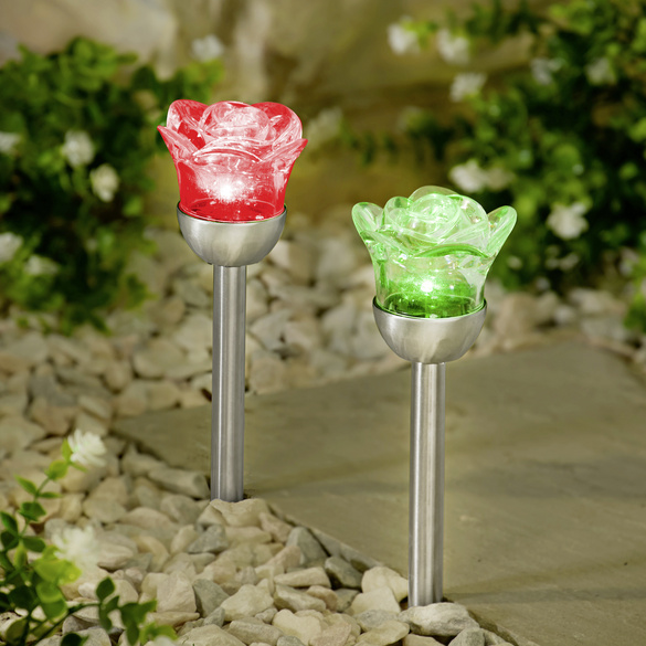Roses solaires, lot de 2