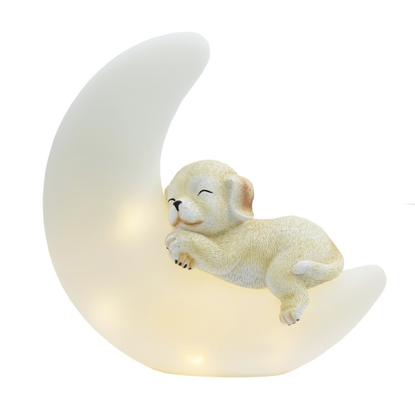 Chien solaire sur la lune