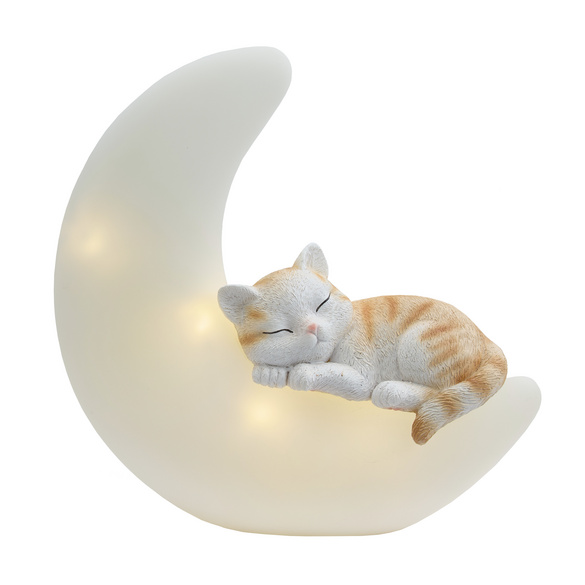 Chat solaire sur la lune