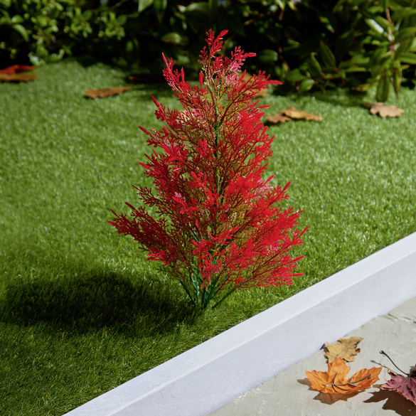 Arbre d'automne avec un tuteur 45cm