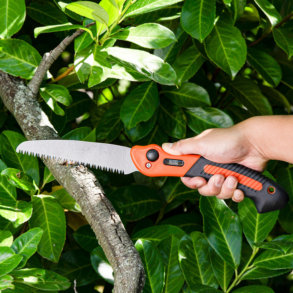 Scie d’élagage Black+Decker