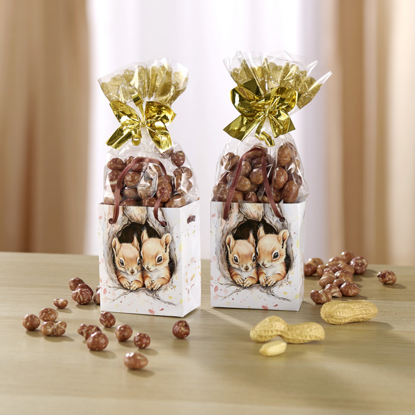 Lot de 2 sachets « Écureuil » aux cacahuètes caramélisées