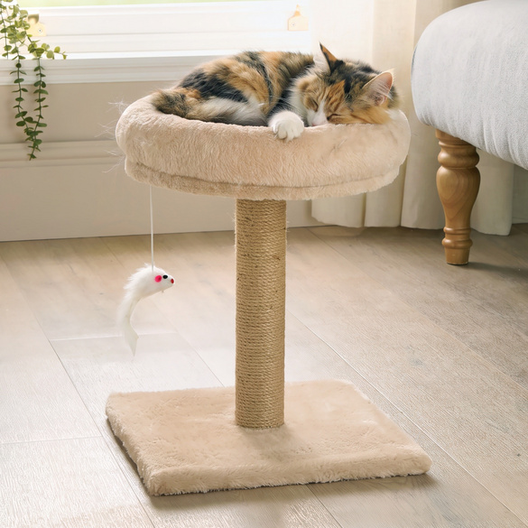 Arbre à chat avec lit