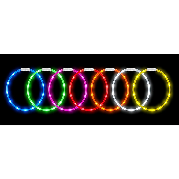 Collier lumineux pour chiens
