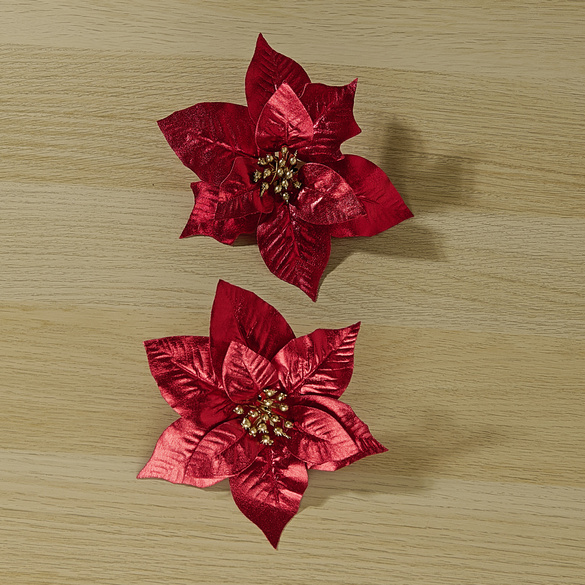 Lot de 2 clips « Étoile de Noël »