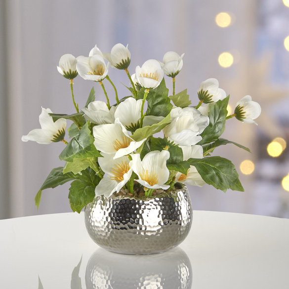 Coupe avec roses de Noël blanches Eldo