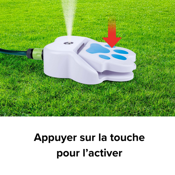 Fontaine d'eau pour chien pour le tuyau d'arrosage