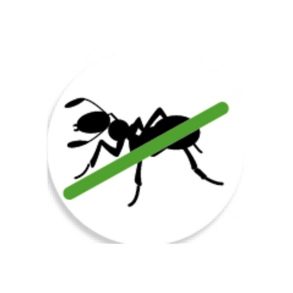 Plaquette poison fourmis