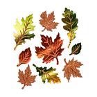 Décoration de fenêtre Feuilles