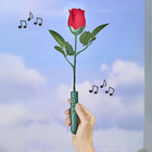 Rose musicale