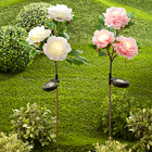 Piquet Pivoine solaire pour le jardin, rose