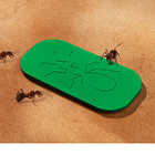 Plaquette poison fourmis
