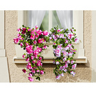 Azalée, rose