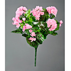 Bouquet de géraniums, rose