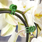 Lot de 30 clips Fleur