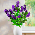 Bouquet de lilas Casa Bonita, violet